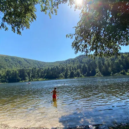 Confort De Gamme En Plein Centre Gérardmer