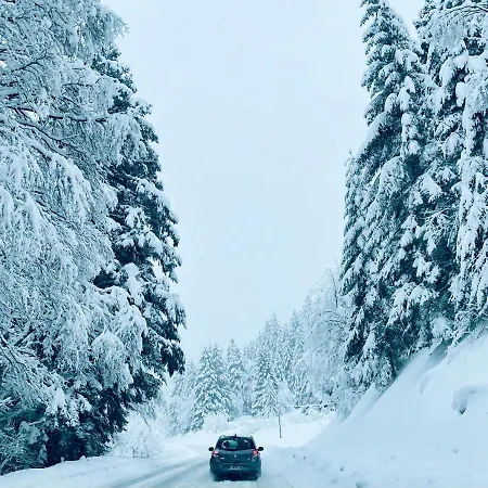 Confort De Gamme En Plein Centre * Gérardmer