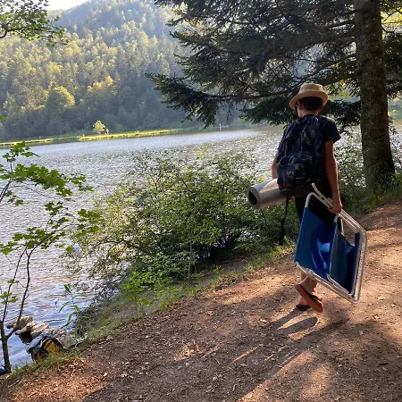 Appartement Confort De Gamme En Plein Centre *