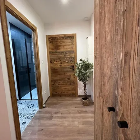 Confort De Gamme En Plein Centre Apartment Gerardmer