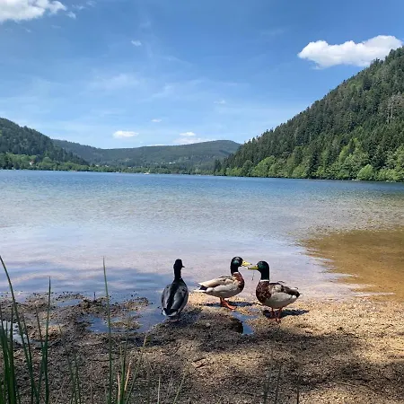 Confort De Gamme En Plein Centre *