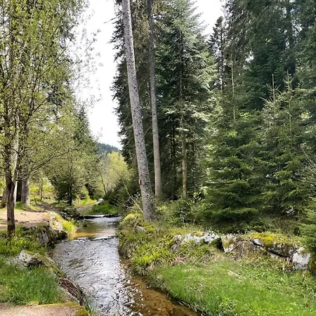 Confort De Gamme En Plein Centre شقة