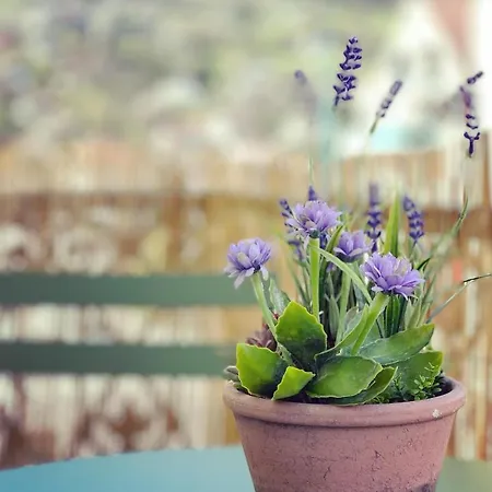 Appartement Confort De Gamme En Plein Centre