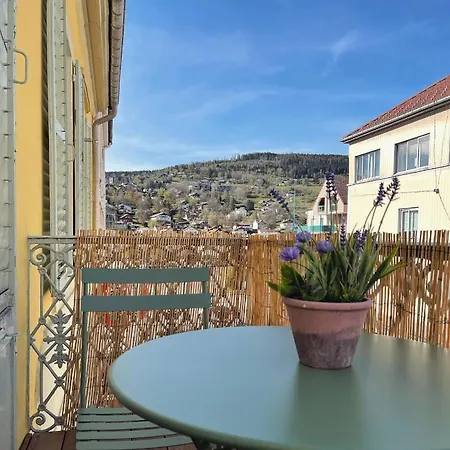 Confort De Gamme En Plein Centre Appartement Gérardmer