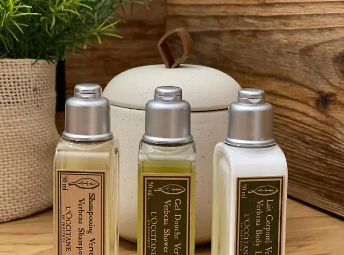 Confort De Gamme En Plein Centre * Gérardmer