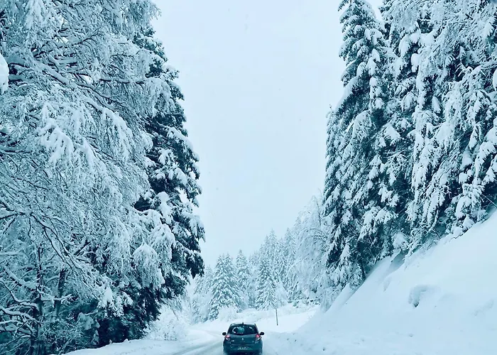Confort De Gamme En Plein Centre * Gérardmer