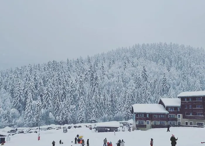 Confort De Gamme En Plein Centre Apartmán *