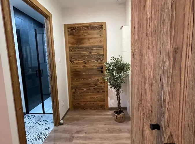 Confort De Gamme En Plein Centre Apartmán Gérardmer