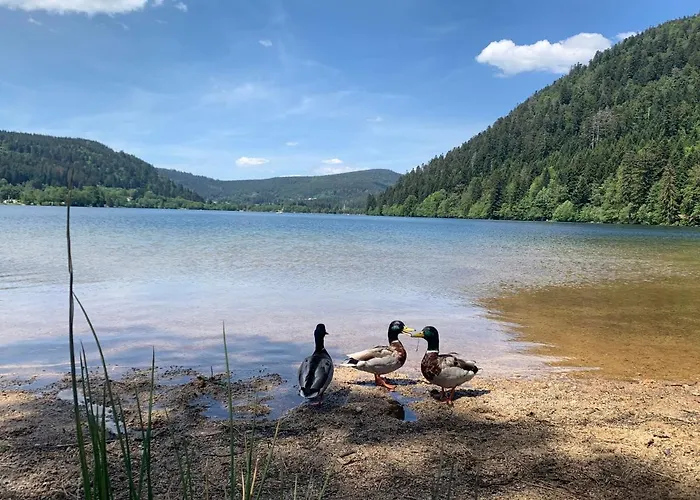 Confort De Gamme En Plein Centre *