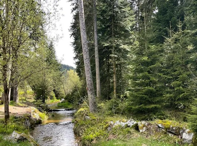 Confort De Gamme En Plein Centre Apartmán