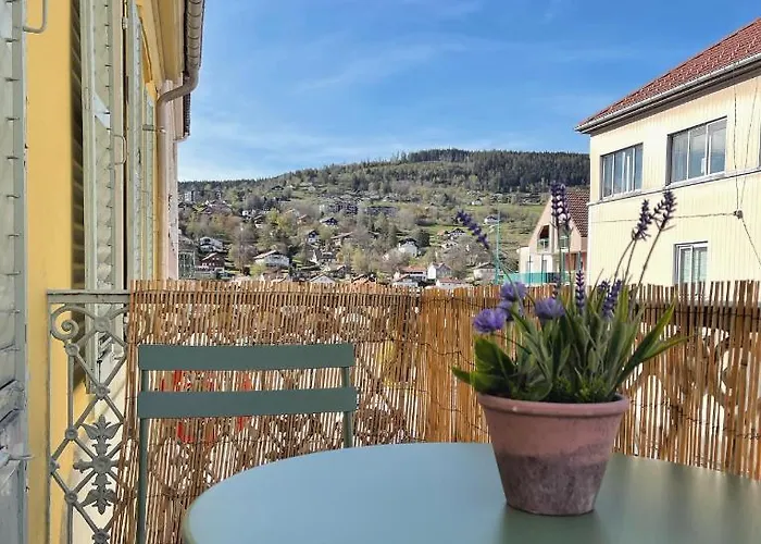 Confort De Gamme En Plein Centre Apartmán Gérardmer